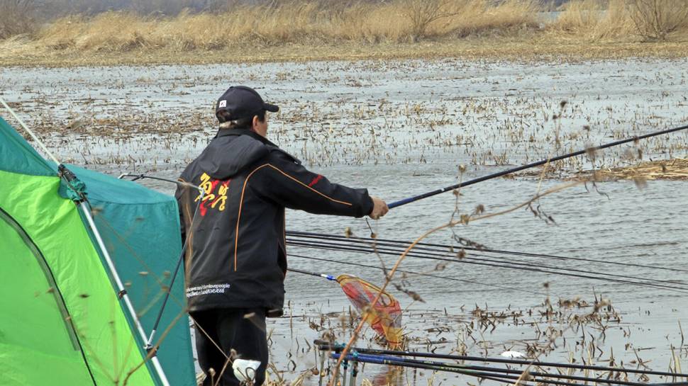 붕어낚시 시즌 시작 Carp fishing season begins (조황조행기 - 화보조행기)