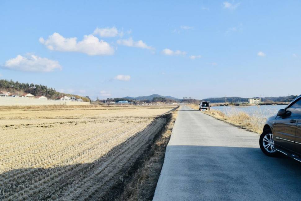 공간의 낚시 조행기 (조황조행기 - 화보조행기)