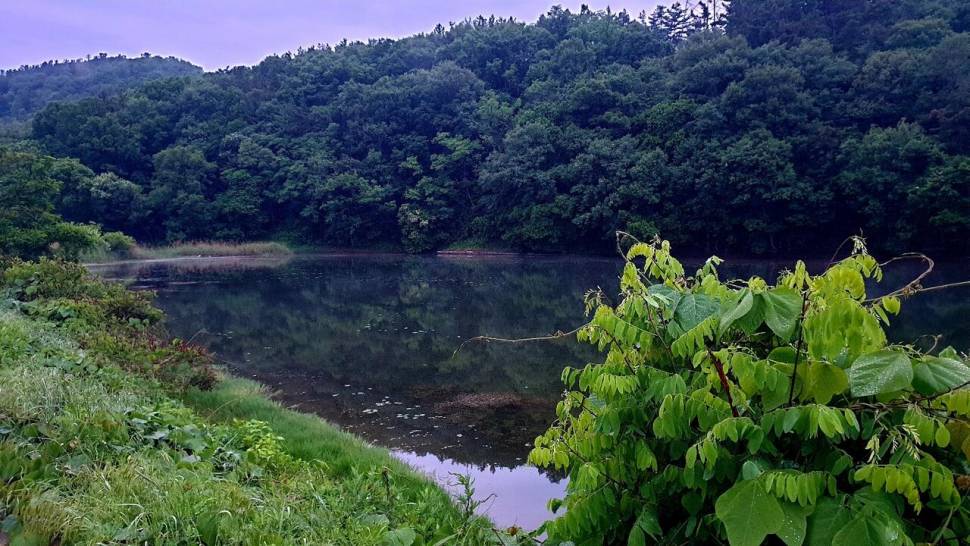 노지 조행기 시즌8화 (조황조행기 - 화보조행기)