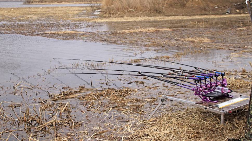 붕어낚시 시즌 시작 Carp fishing season begins (조황조행기 - 화보조행기)