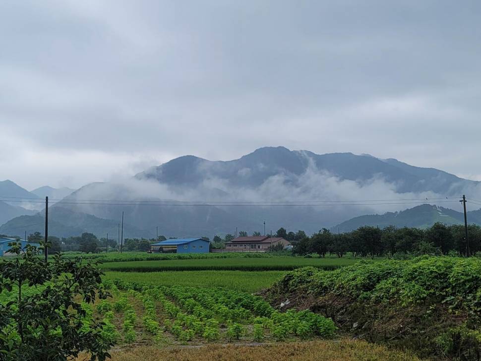 가을의 문턱에 찾은 산속 계곡지 (조황조행기 - 화보조행기)
