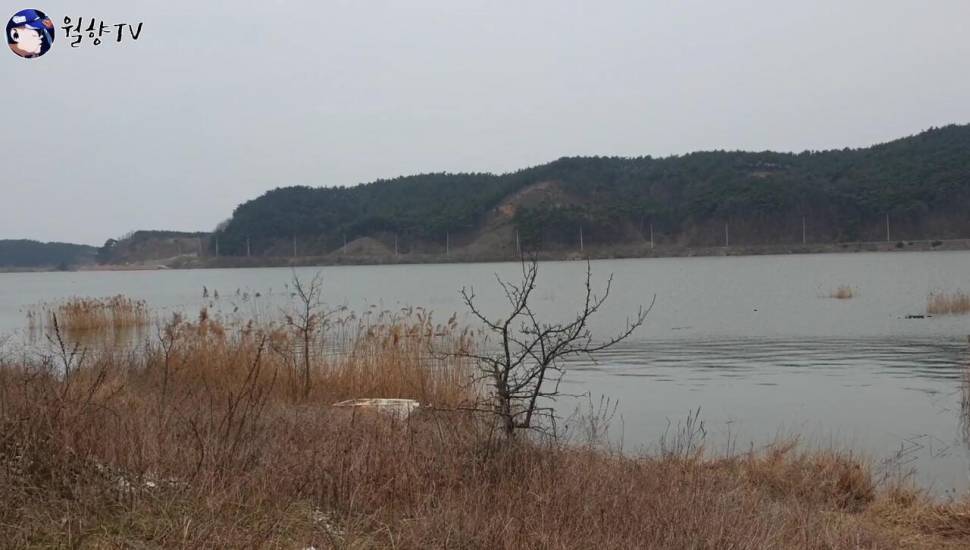 붕어낚시 홍성호에서 6치부터 4짜까지 마릿수 성공 (조황조행기 - 화보조행기)