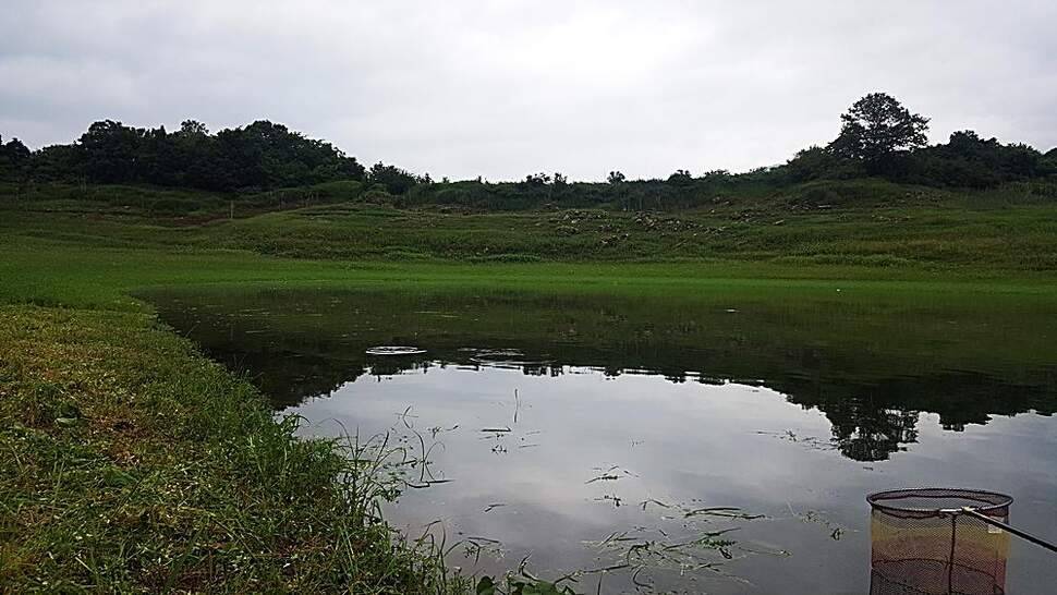 청풍호 오름수위 (조황조행기 - 화보조행기)