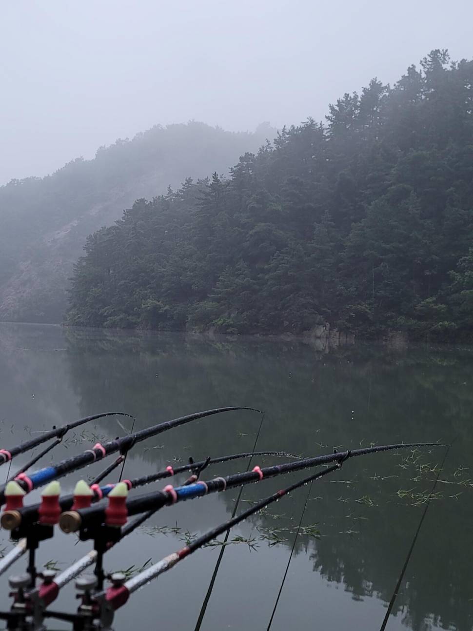 가을의 문턱에 찾은 산속 계곡지 (조황조행기 - 화보조행기)