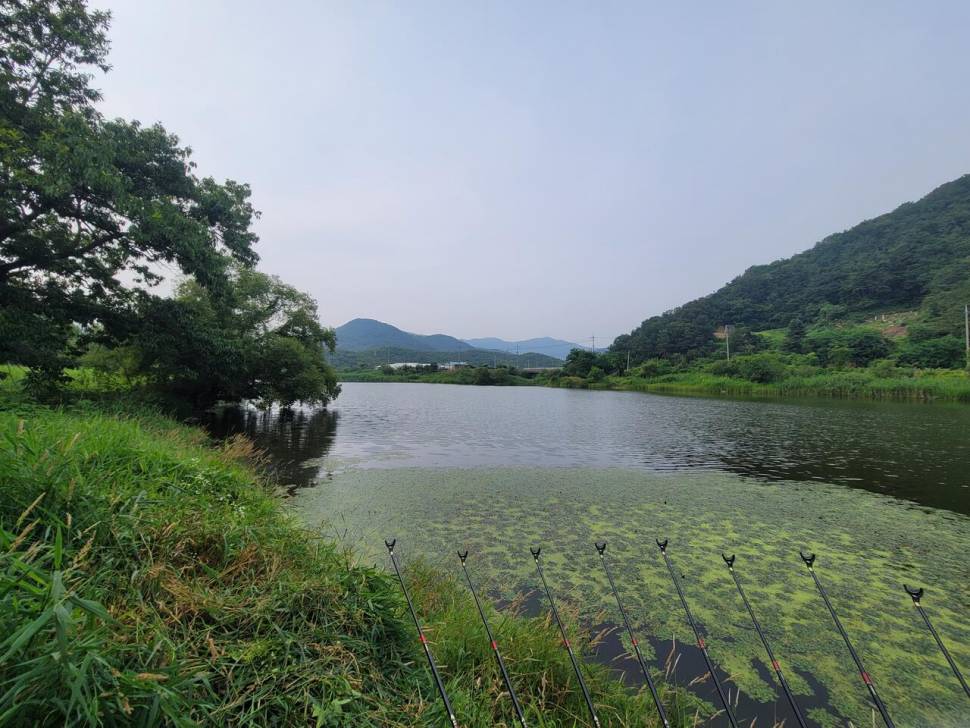 시원한 계곡물이 만나는 강계에서 (조황조행기 - 화보조행기)