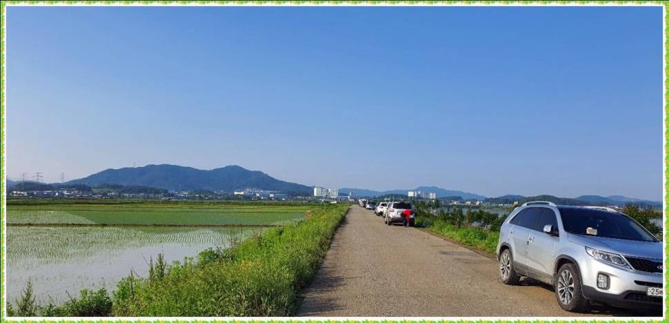 3호 4짜를만났다 (조황조행기 - 화보조행기)