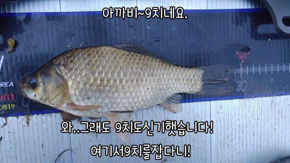 지존조행기아빠와 아들 그리고 피조사 (조황조행기 - 화보조행기)