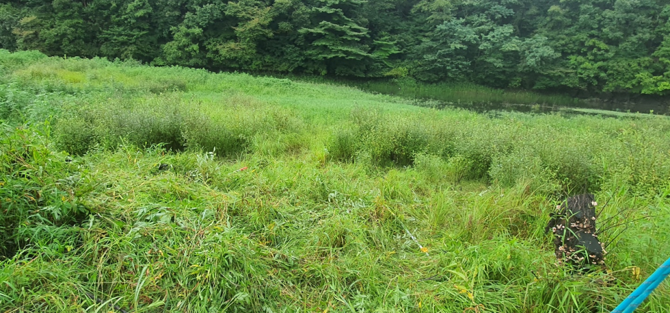 오름수위도전 (조황조행기 - 화보조행기)