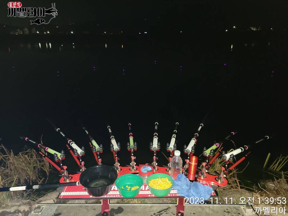 까멜리아의 스물 여덟번째 조행기입니다 (조황조행기 - 화보조행기)