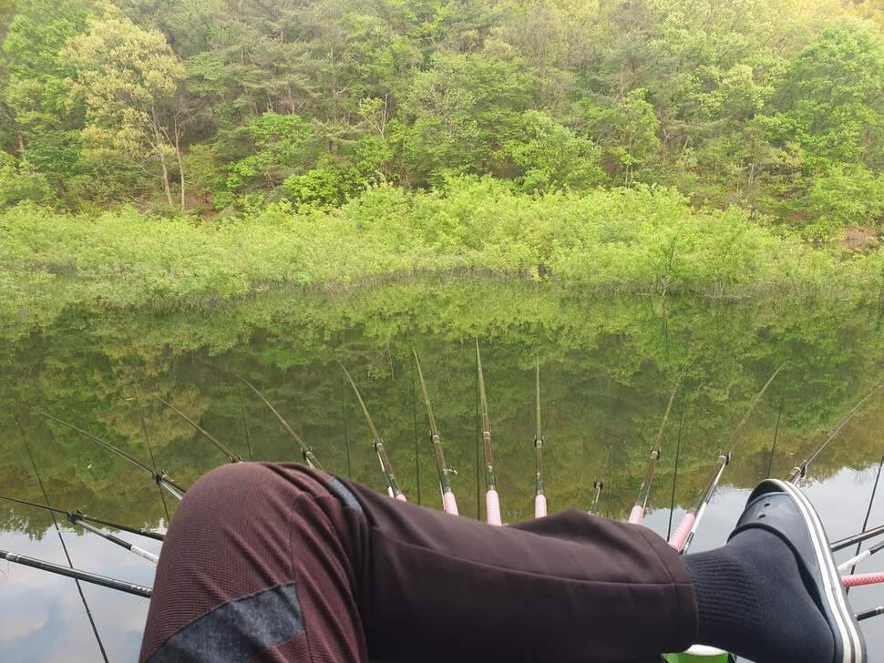 붕어에 낚이다 먹고 또 먹고 (조황조행기 - 화보조행기)