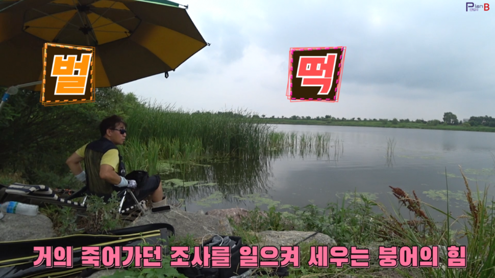 평택 진위천에서 폭염속 행군낚시 (조황조행기 - 화보조행기)