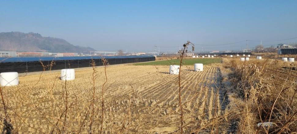 겨울 어디에서 낚시 하나 (조황조행기 - 화보조행기)