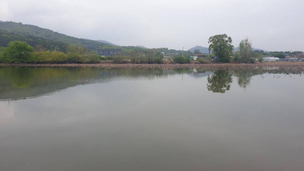 가족과 함께한펜션낚시 (조황조행기 - 화보조행기)