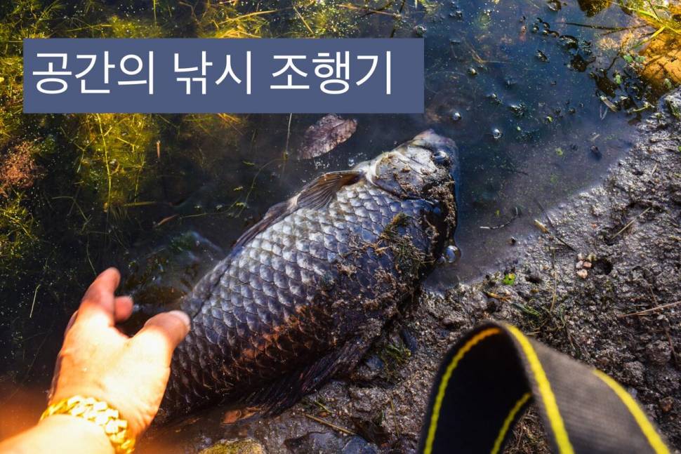 공간의 낚시 조행기 (조황조행기 - 화보조행기)