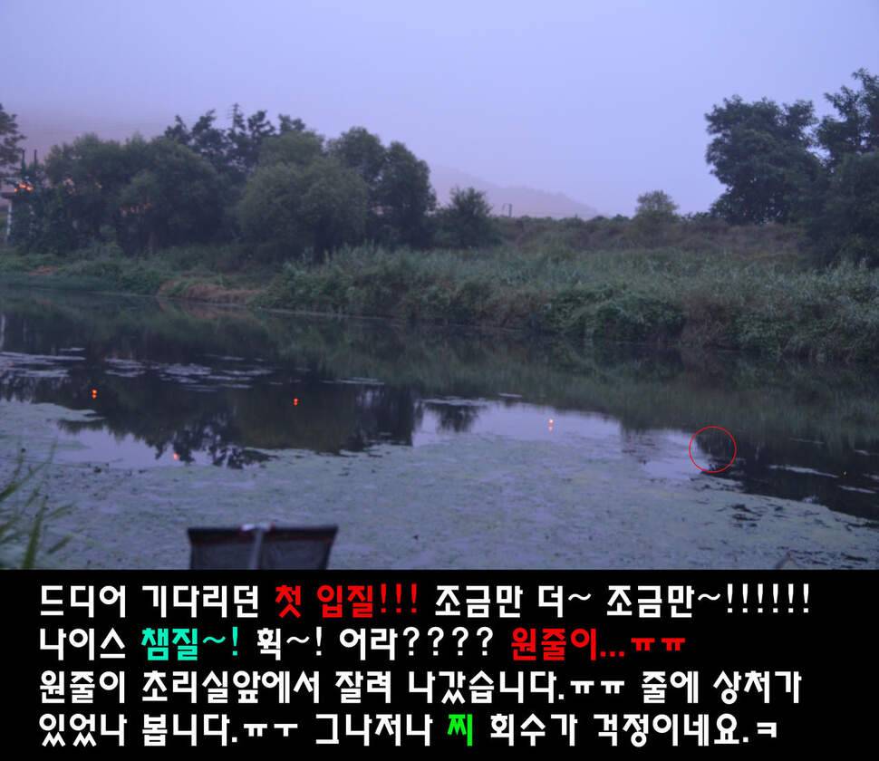 이장의 강호지락 두계천 조업 1편 (조황조행기 - 화보조행기)