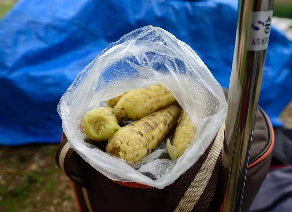 깨끗하고 물맑은 계곡지에서 (조황조행기 - 화보조행기)
