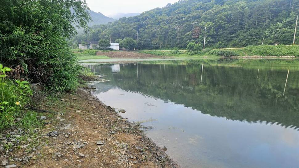 2025년 어신魚神 조우회의 6월 정기 출조폭염 (조황조행기 - 화보조행기)