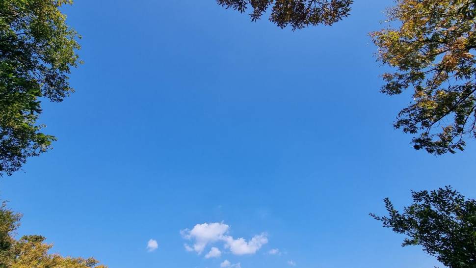 대물터 잔챙이터 (조황조행기 - 화보조행기)