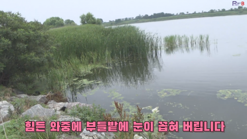 평택 진위천에서 폭염속 행군낚시 (조황조행기 - 화보조행기)