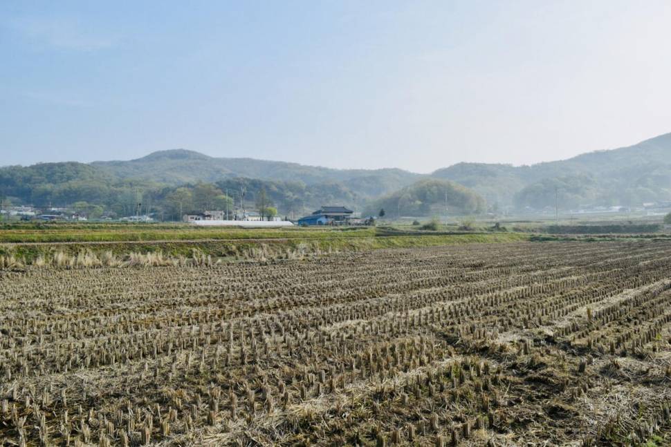 공간의 낚시 조행기 (조황조행기 - 화보조행기)