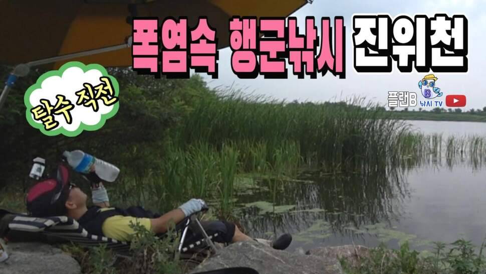 평택 진위천에서 폭염속 행군낚시 (조황조행기 - 화보조행기)