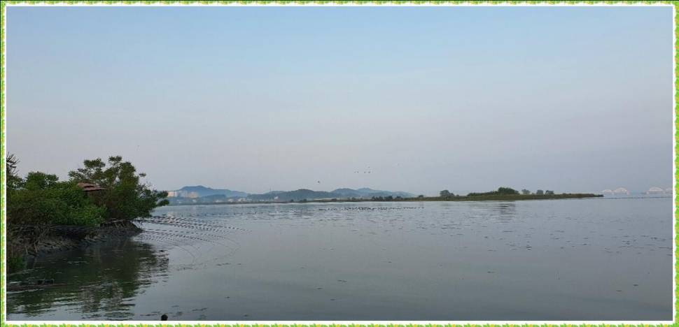 3호 4짜를만났다 (조황조행기 - 화보조행기)