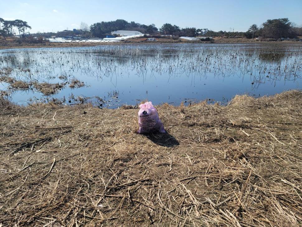 아담한 저수지에서의 힐링부제검은 봉다리 속 사랑 (조황조행기 - 화보조행기)