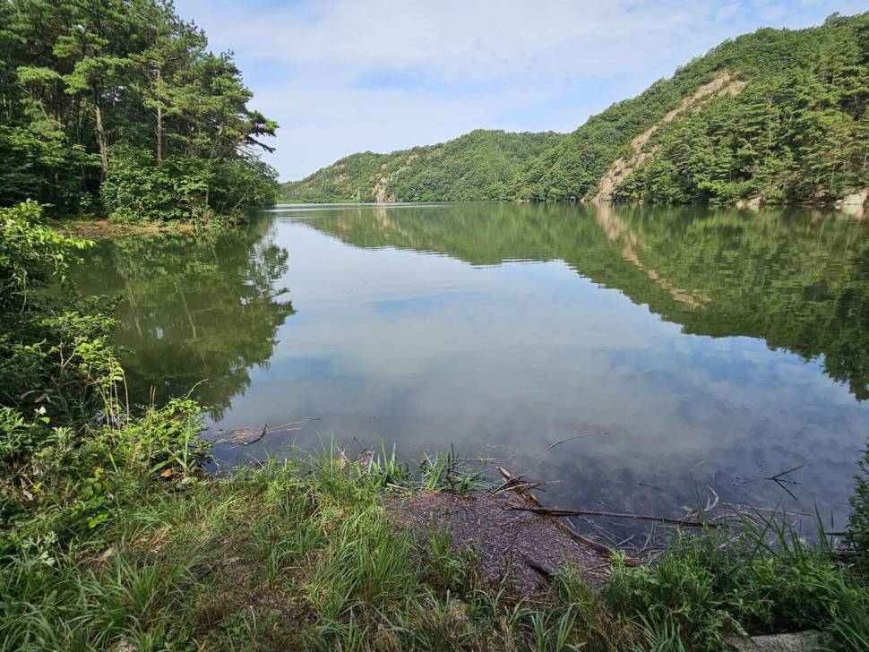 산속 계곡지에서 (조황조행기 - 화보조행기)