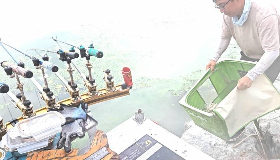 아산호 공세리 석축지대 배수기 붕어 집합장 (조황조행기 - 화보조행기)