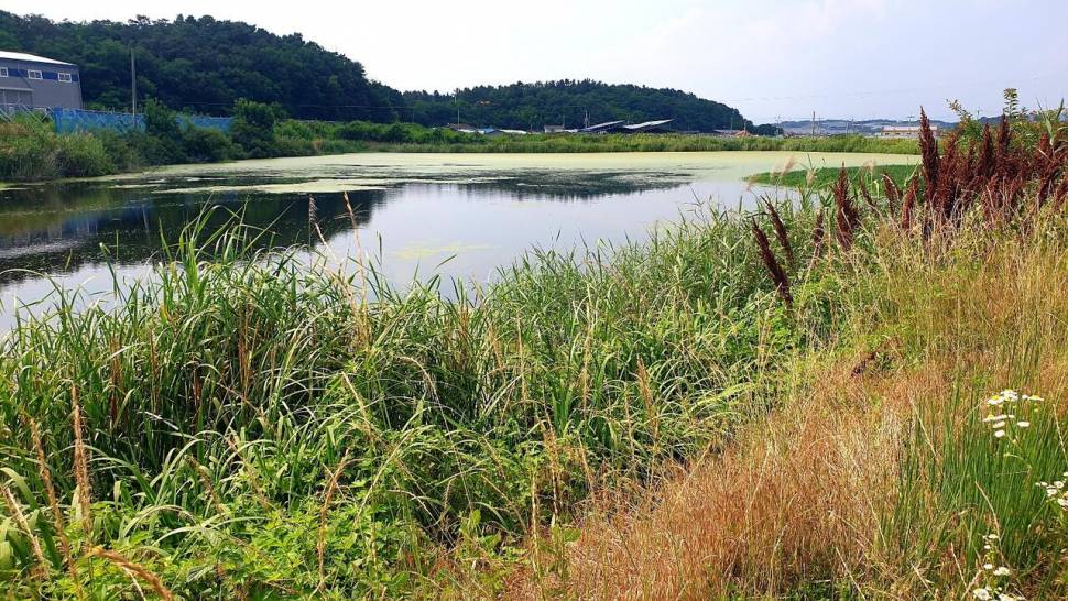 노지 조행기 시즌 14화 번출 (조황조행기 - 화보조행기)