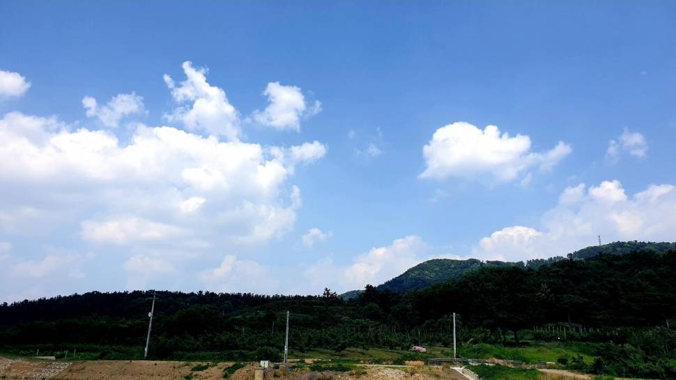 노지 조행기 시즌10화 배수기 짬낚 (조황조행기 - 화보조행기)