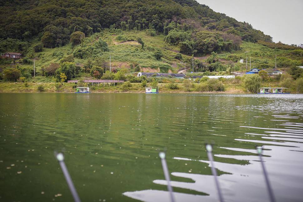 충주 김기호낚시터 붕어낚시 도전 (조황조행기 - 화보조행기)