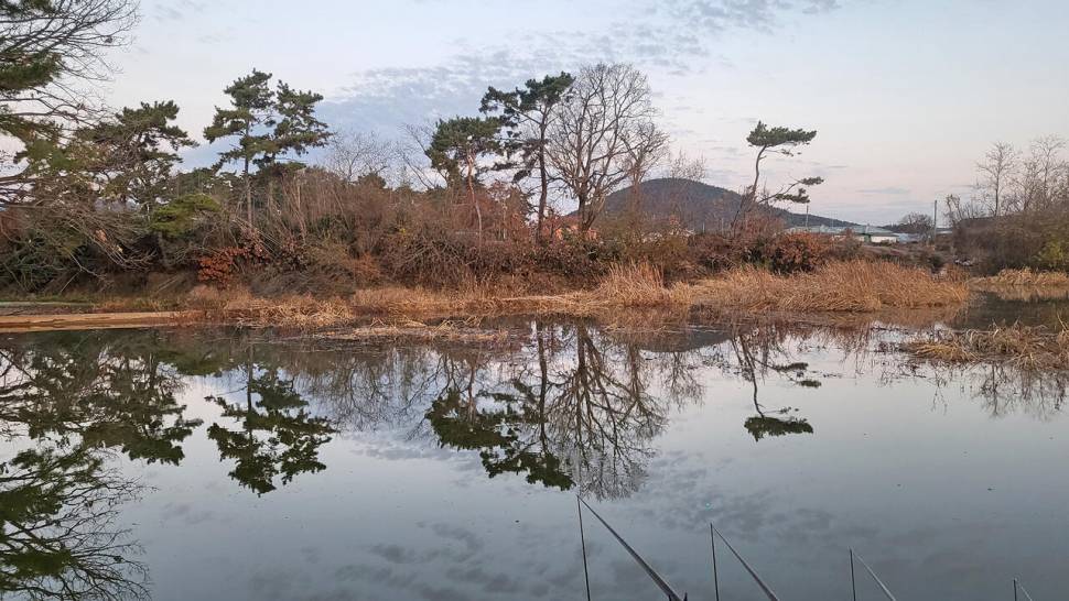 겨울에도 호조황 붕어낚시 (조황조행기 - 화보조행기)
