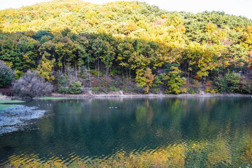 공간의 낚시 조행기 (조황조행기 - 화보조행기)
