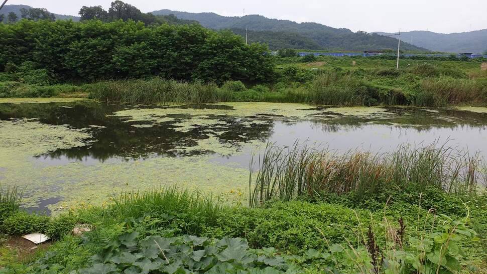오랫만에 습작조행기 들러봅니다 (조황조행기 - 화보조행기)