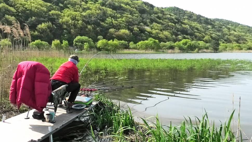 부들이 돋는 포인트에 오름 수위까지 (조황조행기 - 화보조행기)