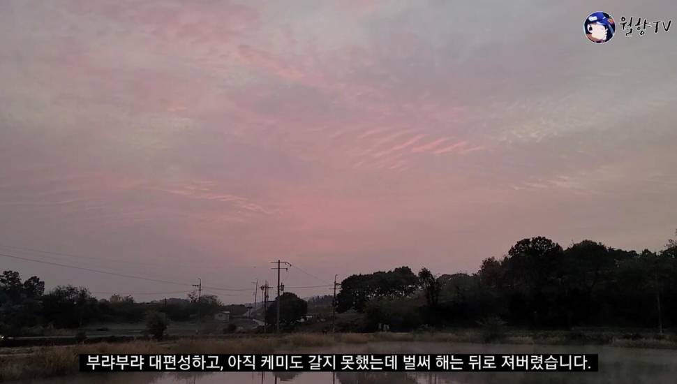 세종소류지 옥수수 새우에 마릿수 붕어 (조황조행기 - 화보조행기)