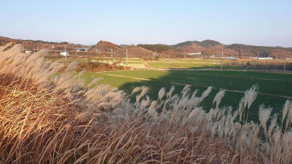 피싱패밀리 돌아온스테고 (조황조행기 - 화보조행기)