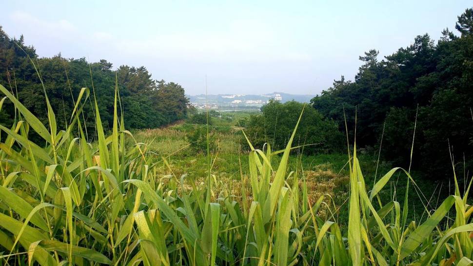 노지 조행기 시즌 14화 번출 (조황조행기 - 화보조행기)