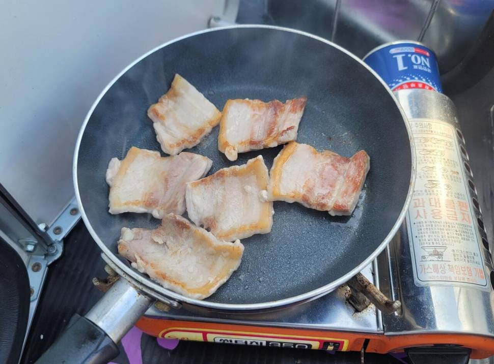 영암에 찾아온 봄 (조황조행기 - 화보조행기)