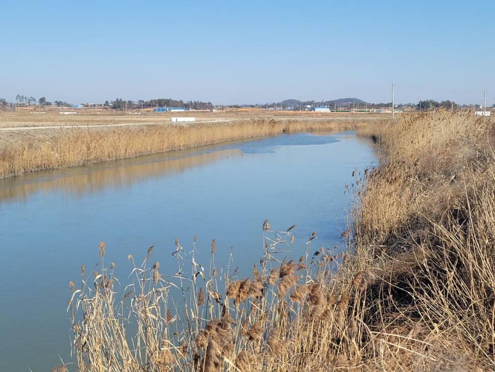 영산강수로해남6주차 (조황조행기 - 화보조행기)