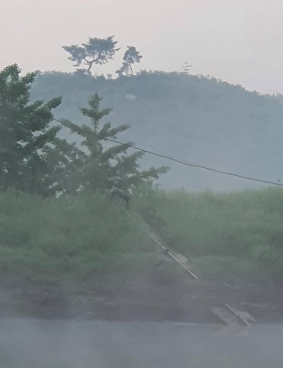 달빛아래 꾼 조행기 (조황조행기 - 화보조행기)