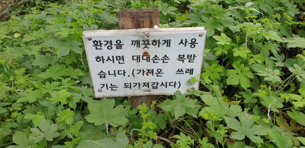 물 찾아 3만리 (조황조행기 - 화보조행기)
