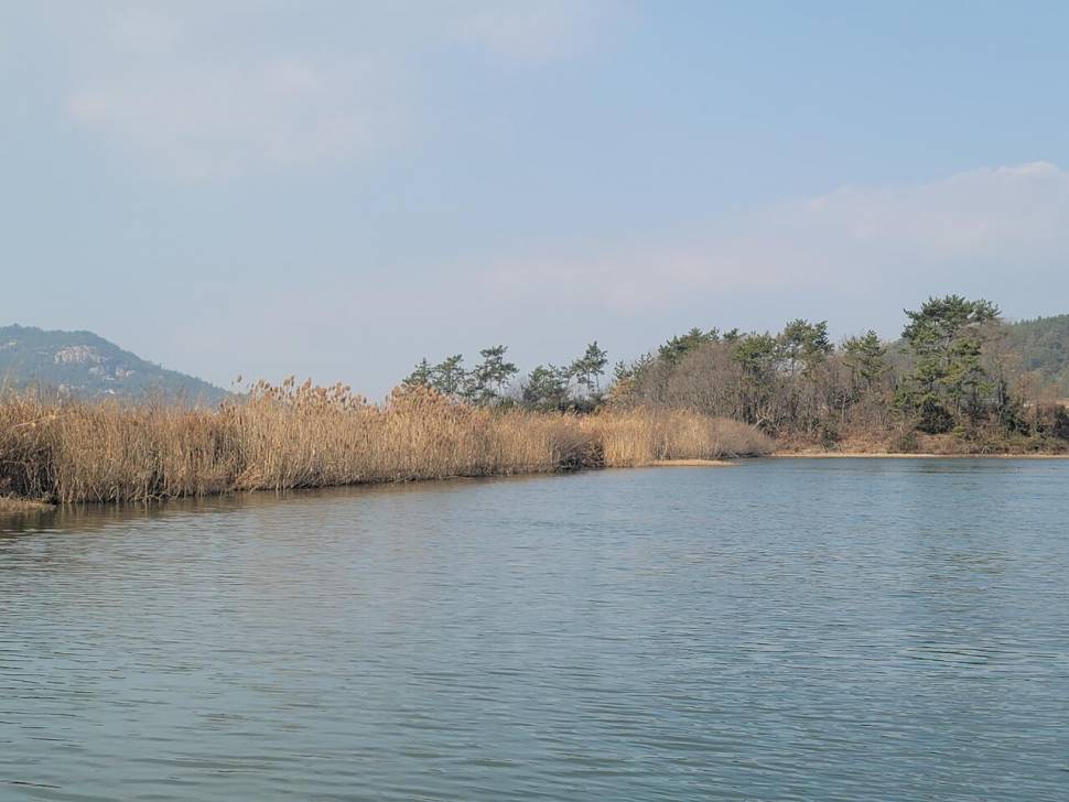 한파끝에 찾은 해남 (조황조행기 - 화보조행기)