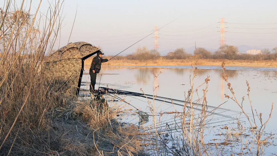 붕어낚시 시즌 시작 Carp fishing season begins (조황조행기 - 화보조행기)