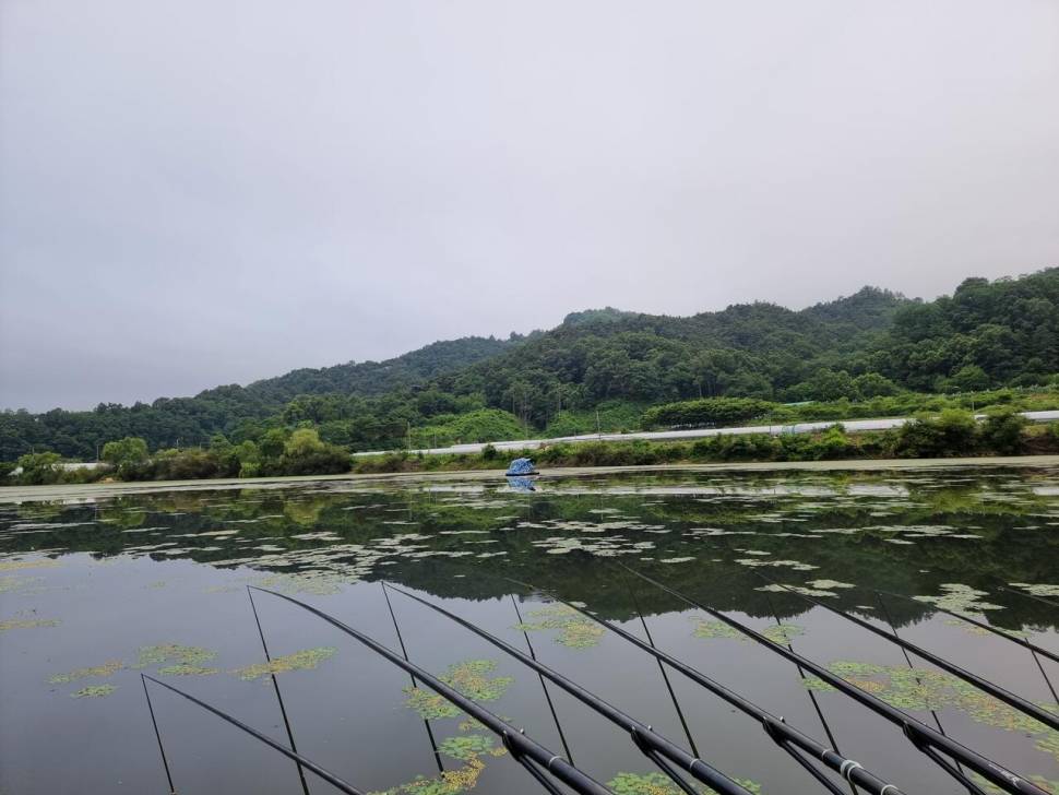 터센 오짜터 출조 (조황조행기 - 화보조행기)