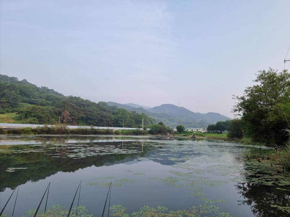 터센 오짜터 출조 (조황조행기 - 화보조행기)