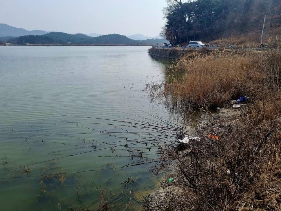 어신魚神 조우회의 3월달 정기 출조 잉어의 보은 (조황조행기 - 화보조행기)