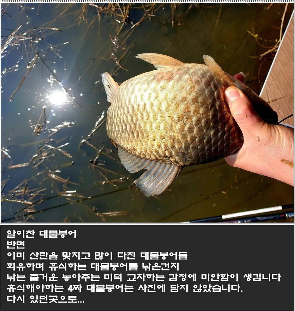 71f38f07-32d6-42a9-8c0b-c9dc09f29edb.jpg