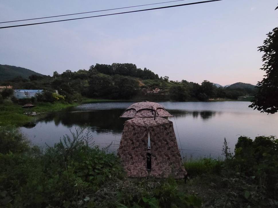 오랜만에 인사드립니다 (조황조행기 - 화보조행기)